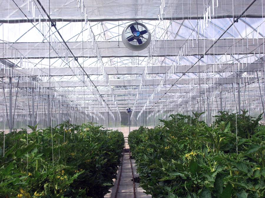 Instalación de equipamiento y automatización